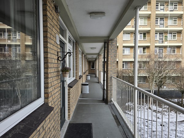 WhatsApp Image 2026-01-08 at 16.35.12.jpeg